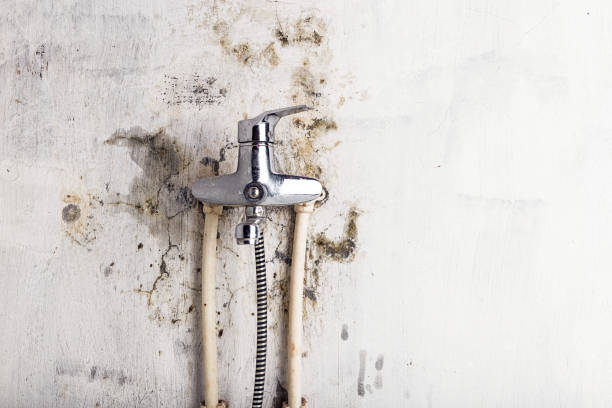 Best Water Damage Restoration  in Warrenton, OR