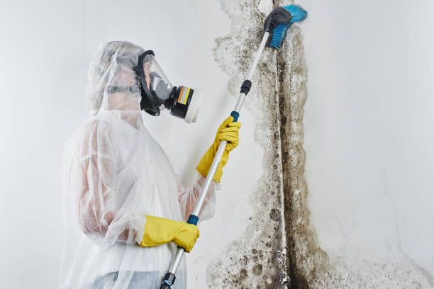 Water Damage Restoration in Warrenton, OR