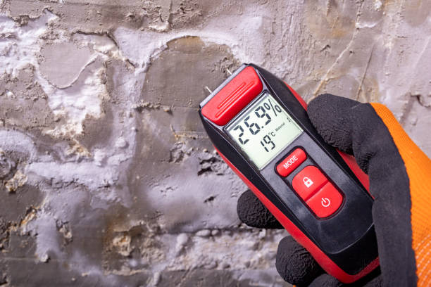 Warrenton, OR Mold Removal Company
