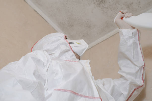 Best Office Mold Removal Services  in Warrenton, OR