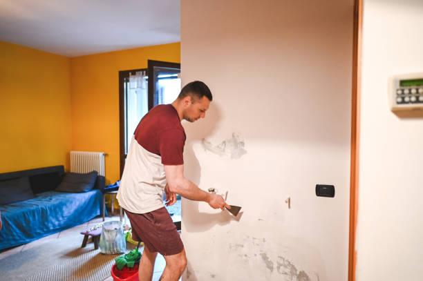 Best Black Mold Removal  in Warrenton, OR