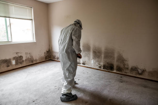Best Crawl Space Mold Removal  in Warrenton, OR